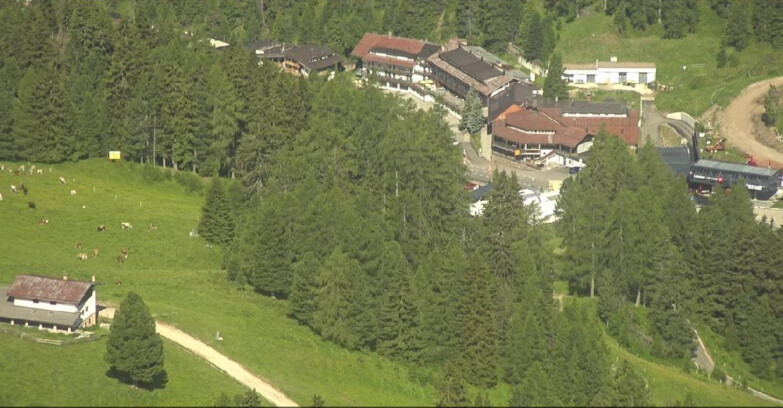 Webcam Pampeago  - Predazzo -  Obereggen - Passo Feudo