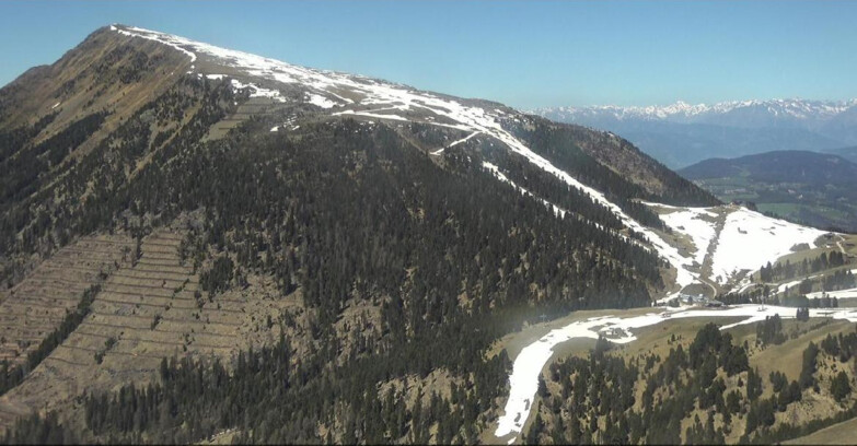 Webcam Pampeago  - Predazzo -  Obereggen - Pala Santa