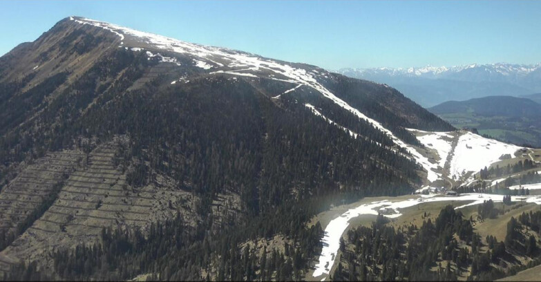 Webcam Pampeago  - Predazzo -  Obereggen - Pala Santa