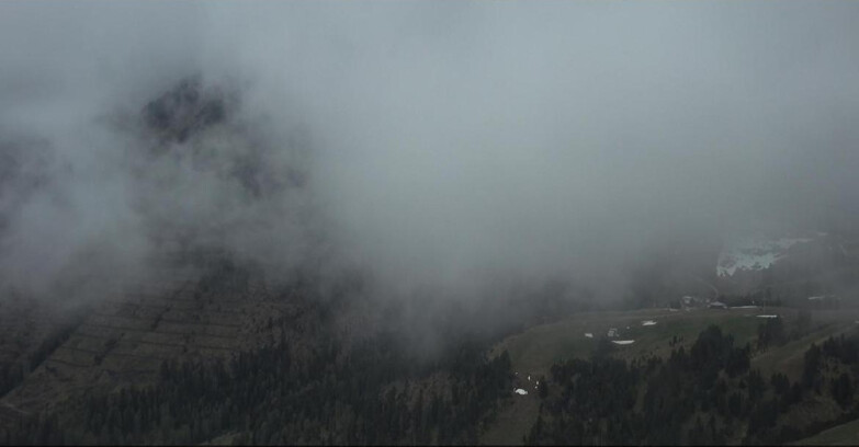 Webcam Pampeago  - Predazzo -  Obereggen - Pala Santa