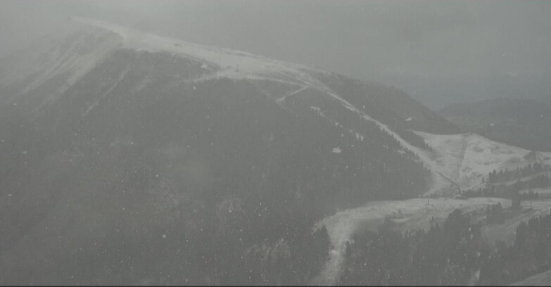 Webcam Pampeago  - Predazzo -  Obereggen - Pala Santa