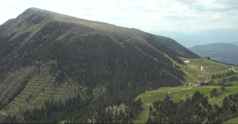 Webcam Pampeago  - Predazzo -  Obereggen - Pala Santa