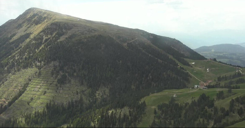 Webcam Pampeago  - Predazzo -  Obereggen - Pala Santa