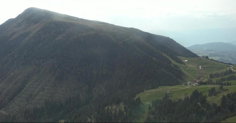 Webcam Pampeago  - Predazzo -  Obereggen - Pala Santa