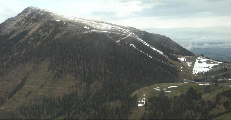 Webcam Pampeago  - Predazzo -  Obereggen - Pala Santa