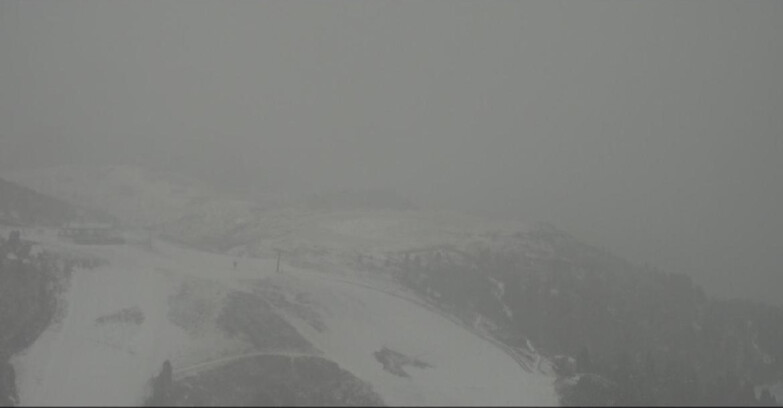 Webcam Pampeago  - Predazzo -  Obereggen - Seggiovia Monte Agnello