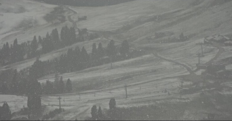 Webcam Pampeago  - Predazzo -  Obereggen - Rifugi Zischg e Ganischger