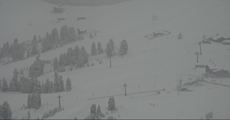 Webcam Pampeago  - Predazzo -  Obereggen - Rifugi Zischg e Ganischger