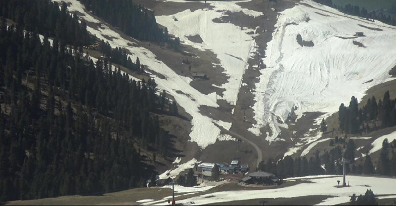 Webcam Pampeago  - Predazzo -  Obereggen - Chair lift Obereggen