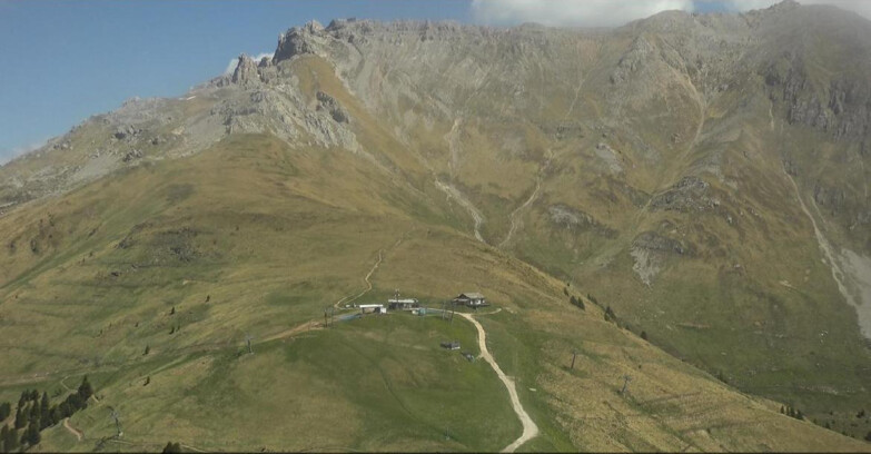 Webcam Pampeago  - Predazzo -  Obereggen - Passo Feudo Berghütte
