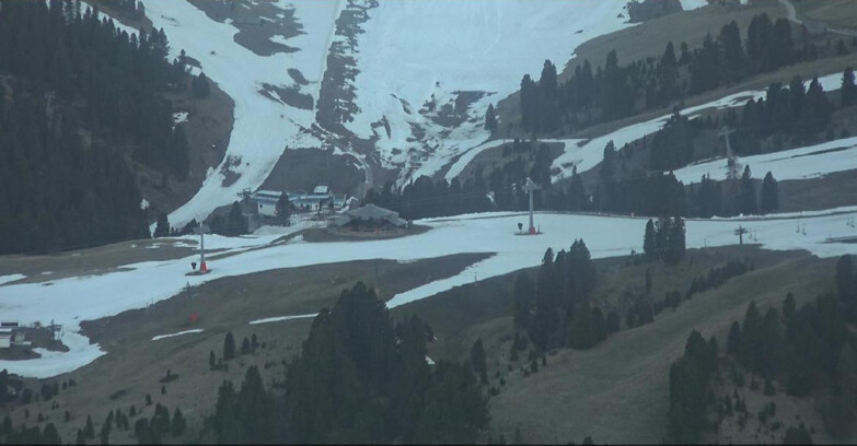 Webcam Pampeago  - Predazzo -  Obereggen - Rifugio Latemar