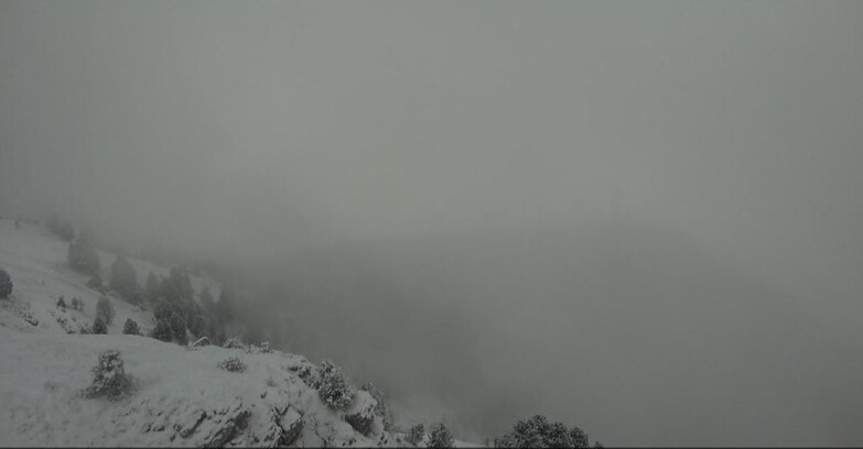 Webcam Pampeago  - Predazzo -  Obereggen - Piste Agnello