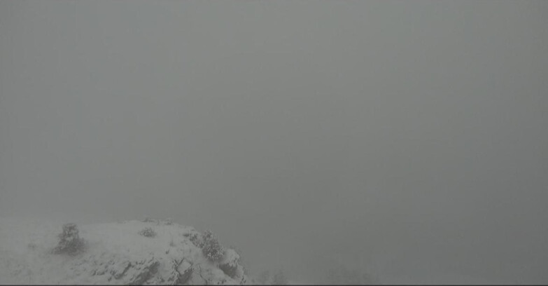 Webcam Pampeago  - Predazzo -  Obereggen - Piste Agnello