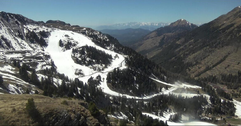 Webcam Pampeago  - Predazzo -  Obereggen - Pista Agnello