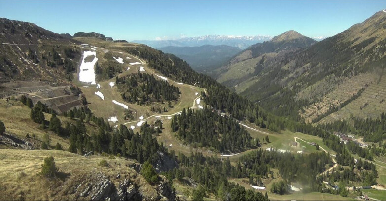 Webcam Pampeago  - Predazzo -  Obereggen - Pista Agnello