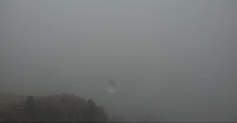 Webcam Pampeago  - Predazzo -  Obereggen - Agnello Slope