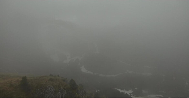 Webcam Pampeago  - Predazzo -  Obereggen - Agnello Slope