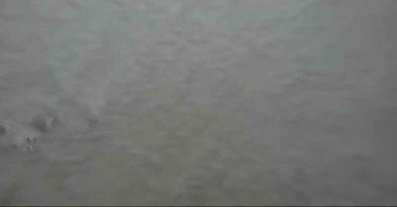 Webcam Pampeago  - Predazzo -  Obereggen - Pista Agnello