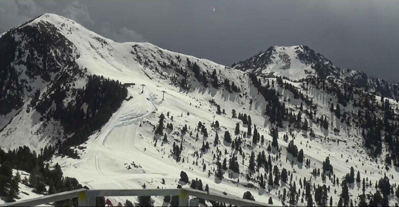 Webcam Альпе-Чермис  - Prà Fiorì Val di Fiemme