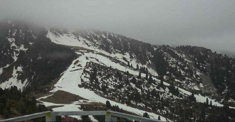 Webcam Alpe Cermis  - Prà Fiorì Val di Fiemme