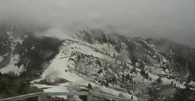 Webcam Alpe Cermis - Prà Fiorì Val di Fiemme