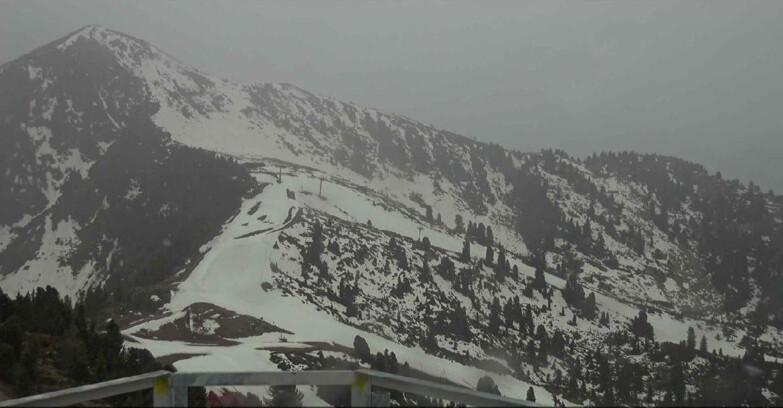Webcam Alpe Cermis - Prà Fiorì Val di Fiemme