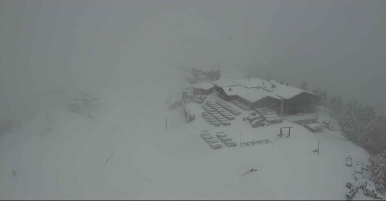 Webcam Alpe Cermis - Rifugio Paion - Cermis