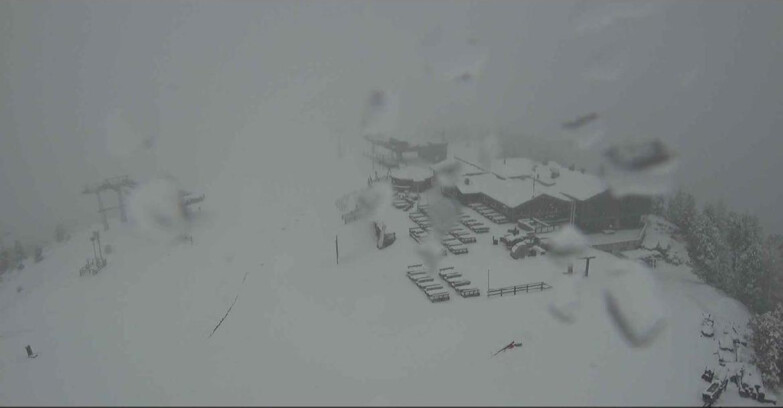 Webcam Alpe Cermis - Rifugio Paion - Cermis