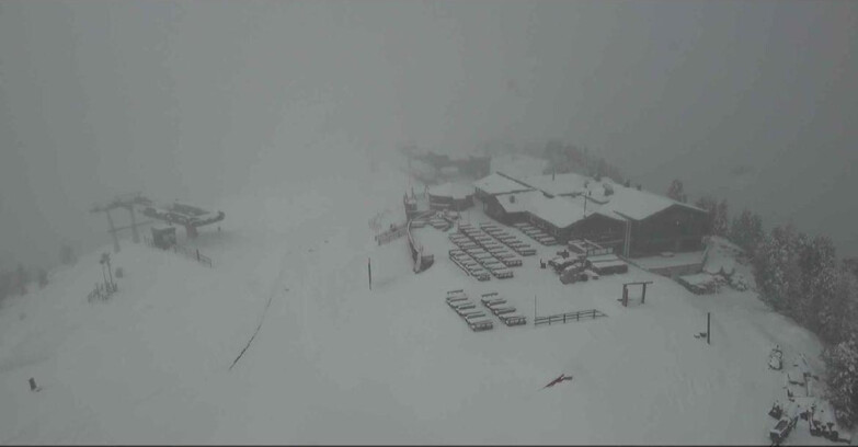 Webcam Alpe Cermis - Rifugio Paion - Cermis