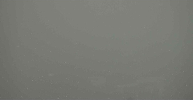 Webcam Alpe Cermis - Seggiovia Costabella