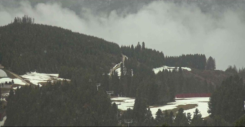 Webcam Alpe Cermis - Seggiovia Costabella