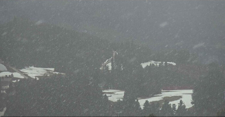 Webcam Alpe Cermis - Seggiovia Costabella