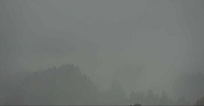 Webcam Alpe Cermis - Seggiovia Costabella