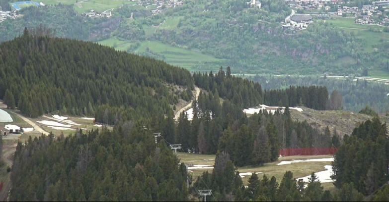 Webcam Alpe Cermis - Seggiovia Lagorai