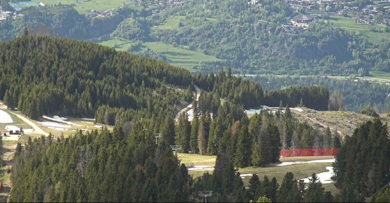 Webcam Alpe Cermis - Seggiovia Costabella