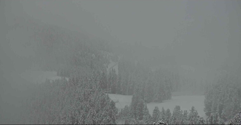 Webcam Alpe Cermis - Seggiovia Costabella