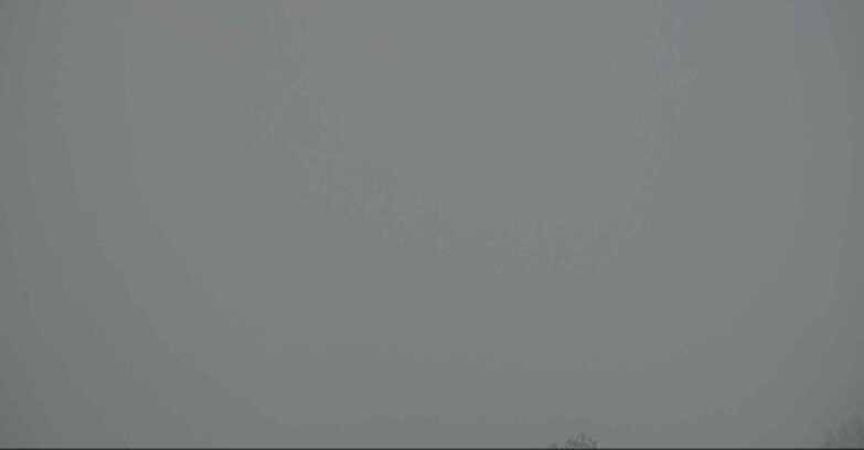 Webcam Alpe Cermis - Seggiovia Costabella