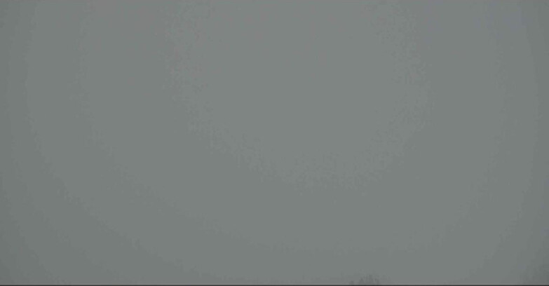 Webcam Alpe Cermis - Seggiovia Costabella