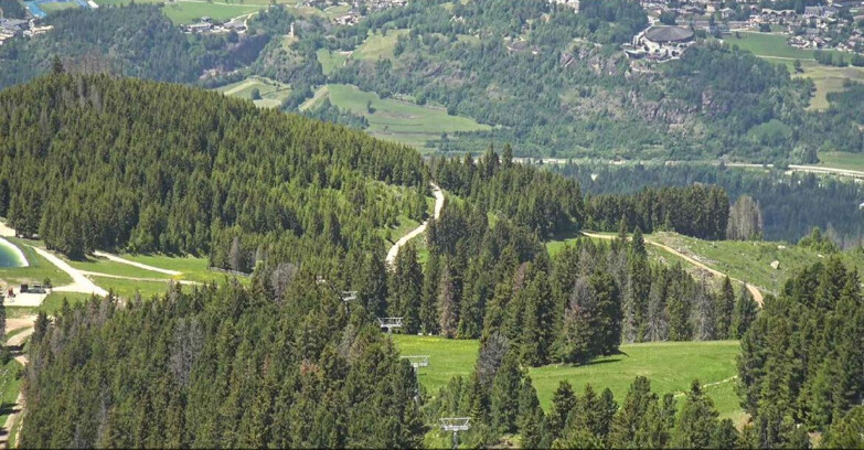 Webcam Alpe Cermis - Seggiovia Costabella