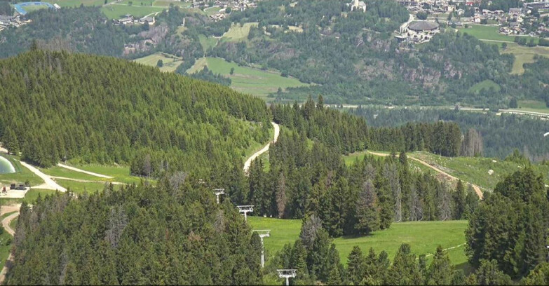 Webcam Alpe Cermis - Seggiovia Costabella