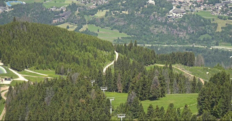 Webcam Alpe Cermis - Seggiovia Costabella