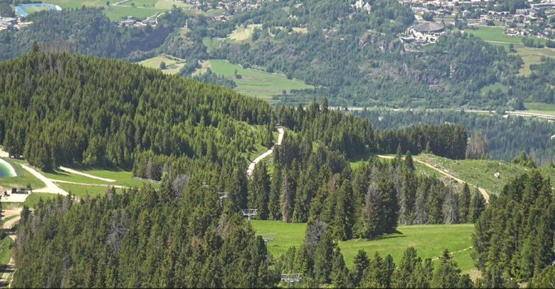 Webcam Alpe Cermis  - Seggiovia Lagorai