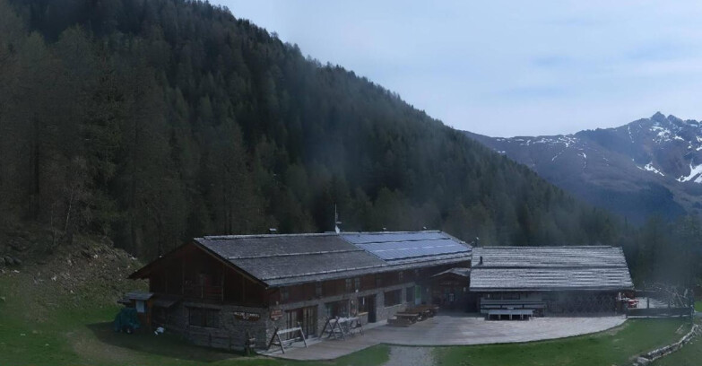 Webcam Pejo 3000 - Rifugio Scoiattolo