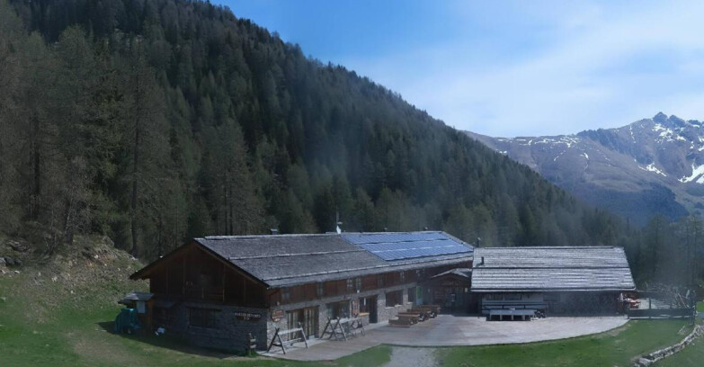 Webcam Pejo 3000 - Rifugio Scoiattolo