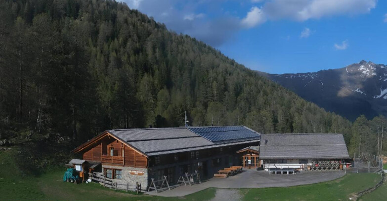 Webcam Pejo 3000 - Rifugio Scoiattolo
