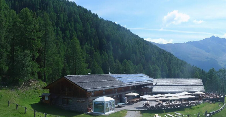 Webcam Pejo 3000 - Scoiattolo Berghütte