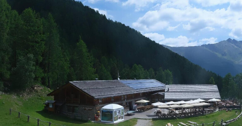 Webcam Pejo 3000 - Scoiattolo Berghütte