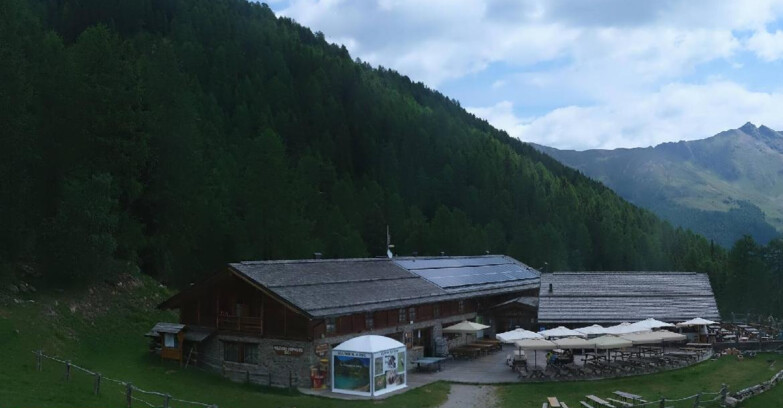Webcam Pejo 3000 - Scoiattolo Berghütte