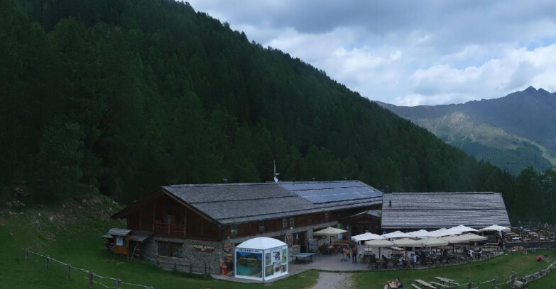 Webcam Pejo 3000 - Scoiattolo Berghütte