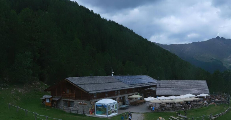 Webcam Pejo 3000 - Scoiattolo Berghütte